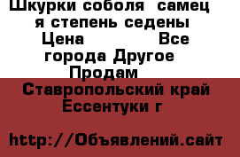 Шкурки соболя (самец) 1-я степень седены › Цена ­ 12 000 - Все города Другое » Продам   . Ставропольский край,Ессентуки г.